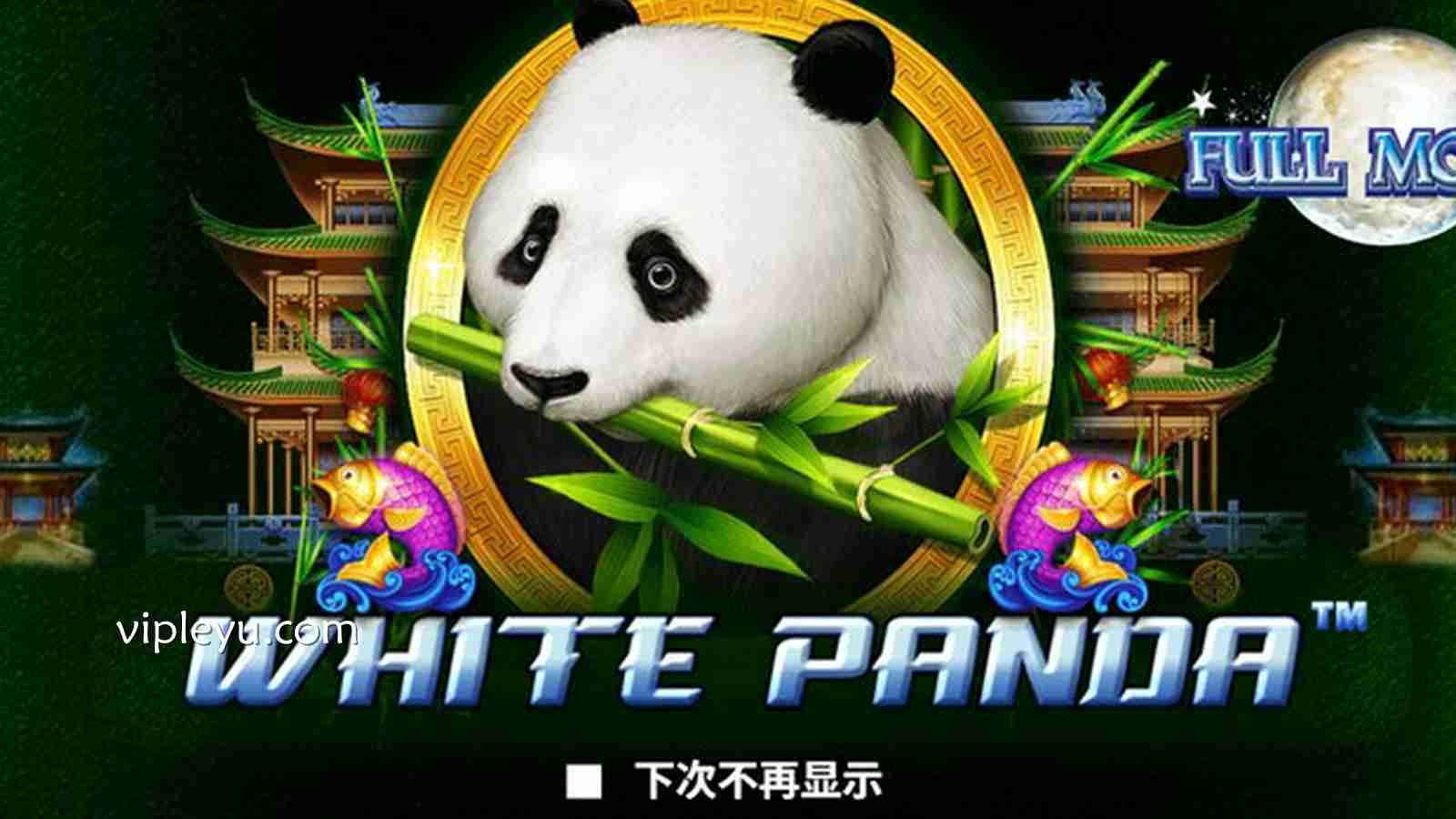 《白色熊猫》：当可爱遇上幸运，一场无法拒绝的游戏盛宴！